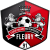 FC Fleury 91