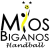 US Mios-Biganos
