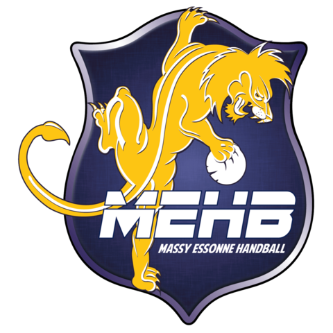 Massy Essonne Handball et l'équipe de France de Handball
