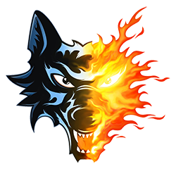 Brûleurs de Loups de Grenoble et l'équipe de France de Hockey sur glace