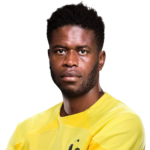 Brice Samba, footballeur de l'équipe de France